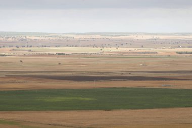 Uçsuz bucaksız Kastilya ovası.