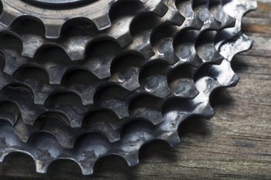 Ahşap bir yüzeyde çam ağaçları ön planda