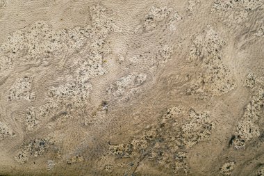 Geçmişi. Eski bir kitabın kapanışı