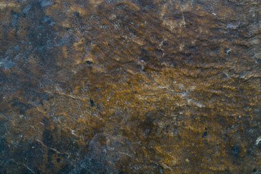 Geçmişi. Eski bir kitabın kapanışı