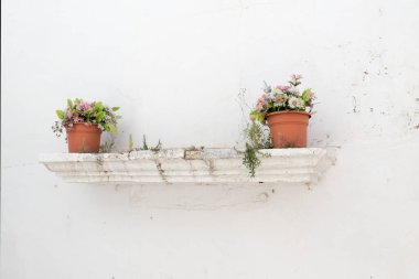 Yapay çiçeklerle bembeyaz bir duvarın kenarında saksı