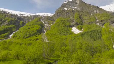 Boyabreen Norveç 'in Sogn og Fjordane ilçesine bağlı Sogndal Belediyesinin Fjaerland bölgesinde bir buzuldur.