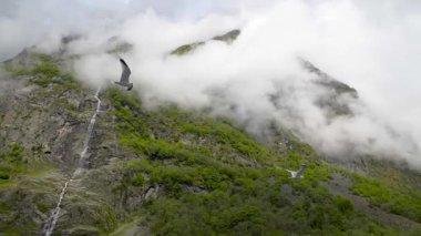 Norveç, Sognefjord 'da çağlayan sular