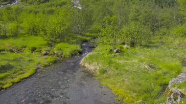 Boyabreen Norveç 'in Sogn og Fjordane ilçesine bağlı Sogndal Belediyesi' nin Fjerland bölgesinde bir buzuldur.