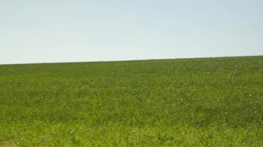 Osborne boğası, yaklaşık 14 metre yükseklikte bir boğa güreşinin devasa bir siluetidir. İlk fonksiyonu reklam olmasına rağmen, zaman içinde İspanya 'nın kültürel sembolü haline gelmiştir.