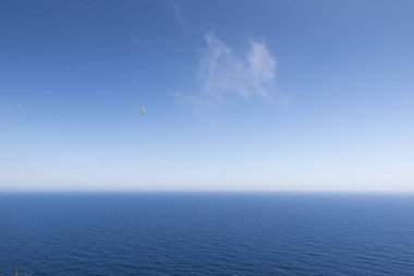 Akdeniz 'de martılar, Formentera adası