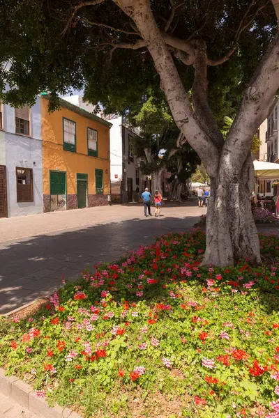 SANTA CRUZ, TENERIFE, İSPAN - 21 Haziran 2015: Santa Cruz şehir merkezi, Tenerife 'nin başkenti