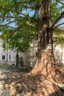 BACHKOVO Monasteri, BULGARIA - 7 Haziran 2018: Bachkovo Manastırı Hristiyan mimarisinin önemli bir anıtıdır ve Avrupa 'daki en büyük ve en eski Doğu Ortodoks manastırlarından biridir. Antik Binalar