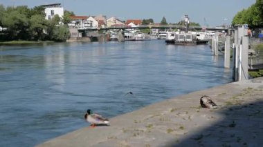 REGENSBURG, GERMANY - 13 Haziran 2019: Eski Regensburg setinin panoraması, Unesco mirası