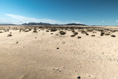 Dunas de Corralejo, Fuerteventura Adası, İspanya