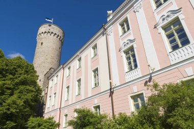 Uzun boylu Hermann Kulesi ve Parlamento Binası. Toompea, valiler Bahçe, Tallinn, Estonya