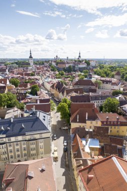 Aziz Olav Kilisesi 'nin kulesinden Tallinn şehrinin panoramik manzarası