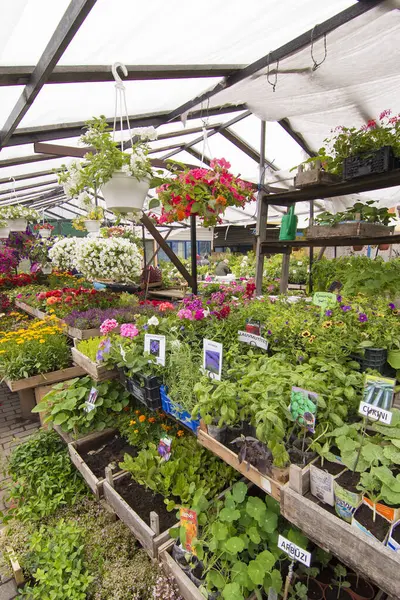  Riga, Letonya 'da çiçek pazarı. Bu pazarın ana yapıları eski Zeppelin hangarlarının yeniden kullanımıyla inşa edilmiş beş pavyondur..