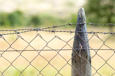 Dikenli Kabloyla Bir Ahşap Çitin Yakın Çekimi
