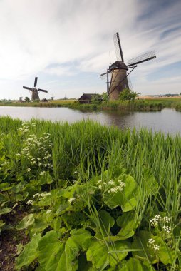 KINDERDIJK, NETHERLANDS - 14 Mayıs 2017: Hollanda 'nın Güney Hollanda eyaletinde yer alan bir Hollanda kentidir ve uluslararası bir anıt olarak Unesco tarafından belirlenen 19 değirmeniyle dünyaca ünlüdür..