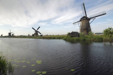 KINDERDIJK, NETHERLANDS - 14 Mayıs 2017: Hollanda 'nın Güney Hollanda eyaletinde yer alan bir Hollanda kentidir ve uluslararası bir anıt olarak Unesco tarafından belirlenen 19 değirmeniyle dünyaca ünlüdür..