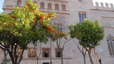 VALENCIA, İspanya - 6 Şubat 2019: Eski İpek Borsasının (Lonja de la Seda) dış görünümü, Valencia, İspanya. UNESCO Dünya Mirası Alanı