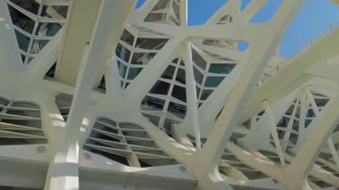 VALENCIA, İSPAIN - 6 Şubat 2019: Mimar Santiago Calatrava tarafından tasarlanan fütüristik mimari binalar kompleksi, Sanat Bilimleri Şehri