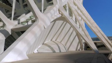 VALENCIA, İSPAIN - 6 Şubat 2019: Mimar Santiago Calatrava tarafından tasarlanan fütüristik mimari binalar kompleksi, Sanat Bilimleri Şehri