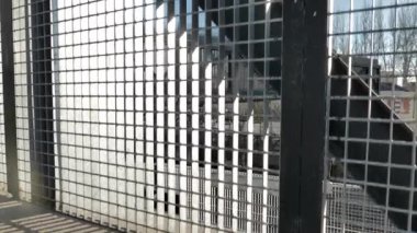Demiryolu üzerinde yaya geçidi var. vinç atışı