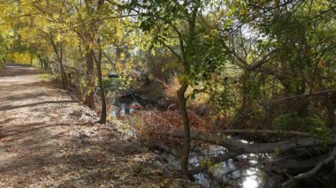 Sonbaharda bir derenin yanında yol