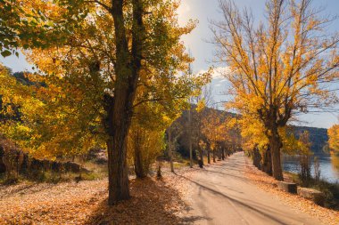 Douro nehrinin kıyısında sonbahar manzarası