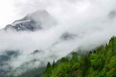 Oldevatnet, Norveç 'in Sogn og Fjordane ilinin Stryn ilçesine bağlı bir göldür..
