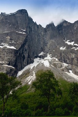 Trol Duvarı (Trollveggen) Norveç 'in batı kıyısındaki Trolltindene Dağı' nın bir parçasıdır. Troll Duvarı, Avrupa 'daki en yüksek dikey kaya yüzeyi. Üssünden en yüksek noktasına yaklaşık 1100 metre uzaklıkta.