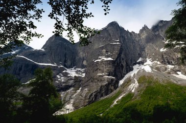 Trol Duvarı (Trollveggen) Norveç 'in batı kıyısındaki Trolltindene Dağı' nın bir parçasıdır. Troll Duvarı, Avrupa 'daki en yüksek dikey kaya yüzeyi. Üssünden en yüksek noktasına yaklaşık 1100 metre uzaklıkta.