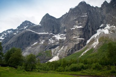 Trol Duvarı (Trollveggen) Norveç 'in batı kıyısındaki Trolltindene Dağı' nın bir parçasıdır. Troll Duvarı, Avrupa 'daki en yüksek dikey kaya yüzeyi. Üssünden en yüksek noktasına yaklaşık 1100 metre uzaklıkta.