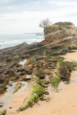 Sahilden Mouro Adası 'na bak. Santander, Spai.