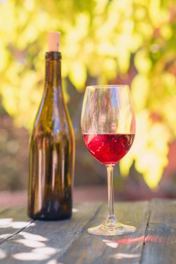 Sonbaharda bir bahçede kırmızı şarap ve şişe