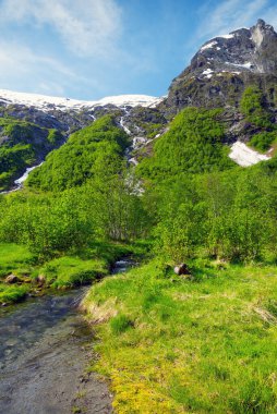 Boyabreenis, Norveç 'in Sogn og Fjordane ilçesindeki Sogndal Belediyesinde bir buzuldur.
