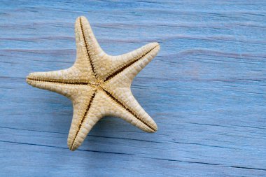 Mavi ahşap üzerinde denizyıldızı. Boşluğu kopyala