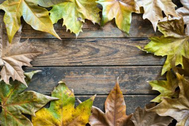 Ahşap arkaplanı çevreleyen kuru yapraklar, kopya için boşluk