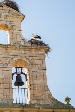Leylekler bir kilisenin çan kulesinde yuva yapmış.