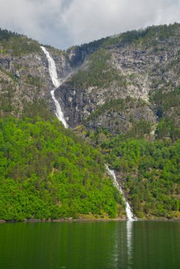 Norveç, Sognefjord 'da çağlayan sular
