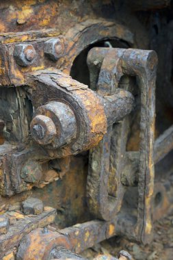 Paslı dişlilere yakın çekim