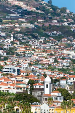 Portekiz 'in Madeira adasının başkenti Funchal şehrinin dik yamaçlarındaki evler