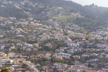 Portekiz 'in Madeira adasının başkenti Funchal şehrinin dik yamaçlarındaki evler