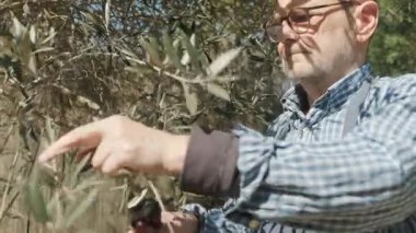 Bahçedeki bir ağacın dallarını budayarak koparan bir adam. Bahçe bakımına odaklanmış bu resim bitkilere özen göstermektedir, bahçeciliği terapi amaçlı bir aktivite olarak vurgulamaktadır..