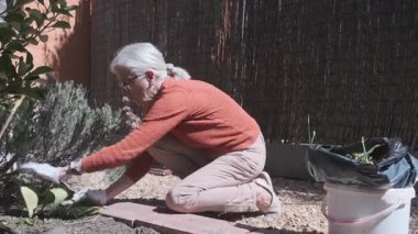 Yaşlı bir kadın bahçeyle ilgileniyor, bahçesinde bitkiler yetiştiriyor ve güneşin tadını çıkarıyor..