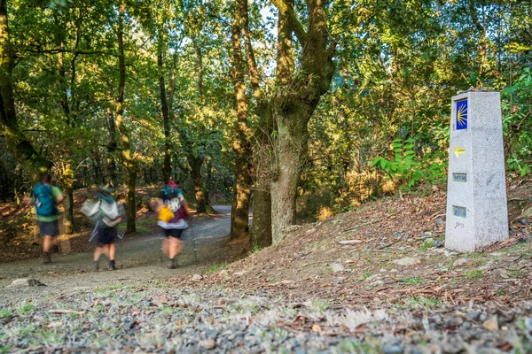 Blurred Pilgrims Long Exposure Trail Camino Santiago Track Focus Milestone — Stock Photo, Image