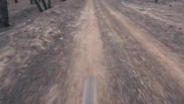 燃えた森でトラックに乗るマウンテンバイクホイール — ストック動画