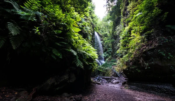 La Palma Adası 'ndaki dar kanyonun sonundaki Tilos şelalesi.