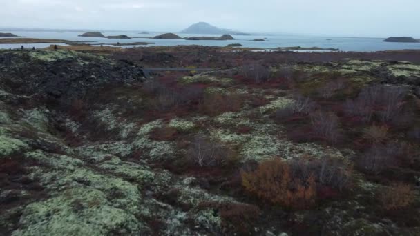 Latanie Nad Ogromnymi Polami Lawy Jeziorem Myvatn Islandii — Wideo stockowe