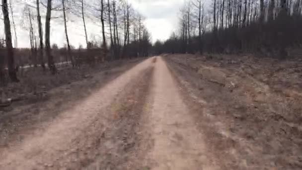 Jízda Trati Spáleným Borovicovým Lesem Zničeným Domem — Stock video