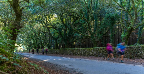 Blurred Unrecognizable Pilgrims Hiking Camino Santiago — Stock Photo, Image