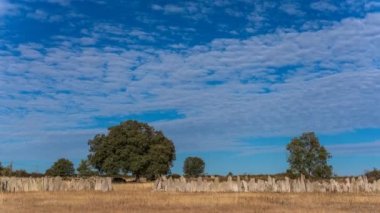Tahta taşların zaman atlamalı sınırlama özellikleri