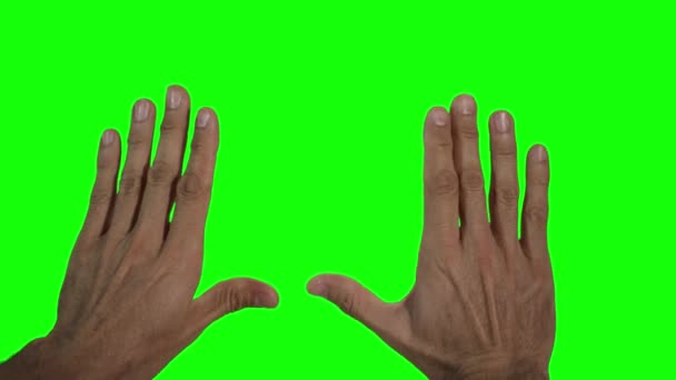 Тримаючи Обидві Руки Різними Жестами Зеленому Тлі — стокове відео